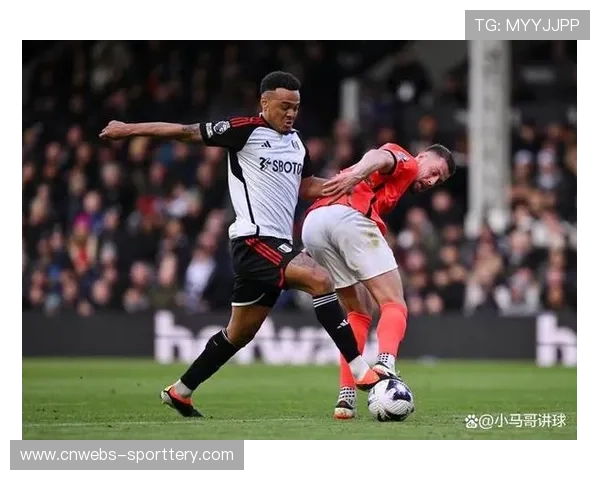 富勒姆1-0桑德兰,农场主主场小胜